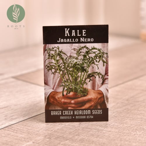 كيل kale jagallo nero