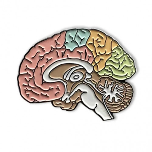 Brain brooch
