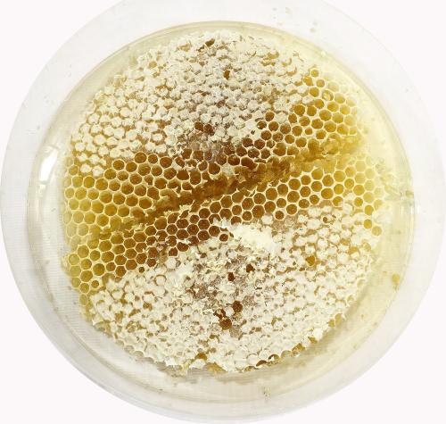 عسل الضهياء مع السدر بالشمع (قابل للتبلور) 600 جم