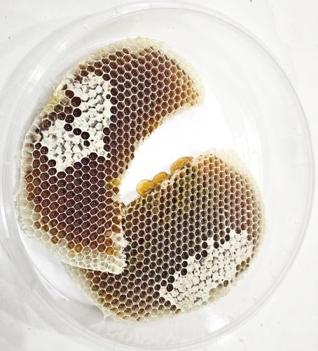 عسل السمر بالشمع 400 جم