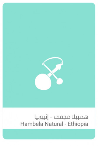 سلالات القهوة - همبيلا مجفف - اثيوبيا