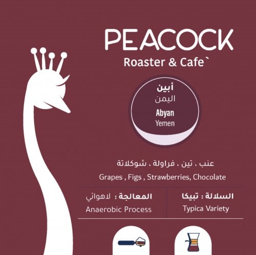 الطاووس - اليمن أبين