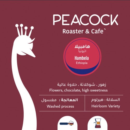 الطاووس - هامبيلا - أثيوبيا