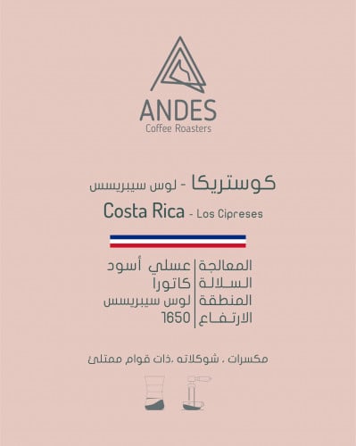 أنديز - كوستريكا لوس سيبريس