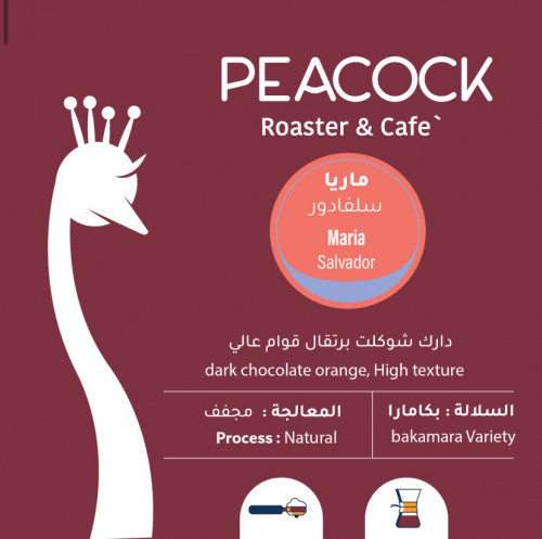 الطاووس - ماريا سلفادور