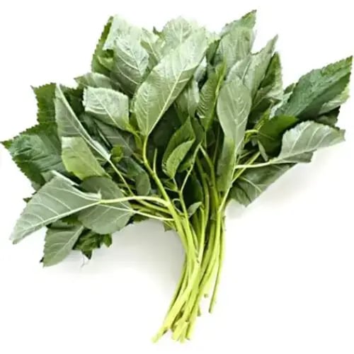 مزرعة السلوى - ملوخية عضوية