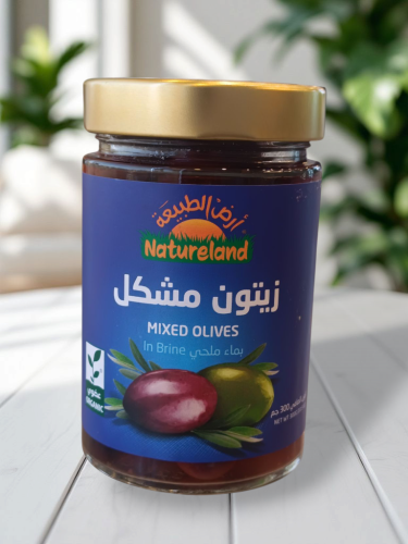 ارض الطبيعة - زيتون مشكل مع زيت الزيتون ، 280 غرام