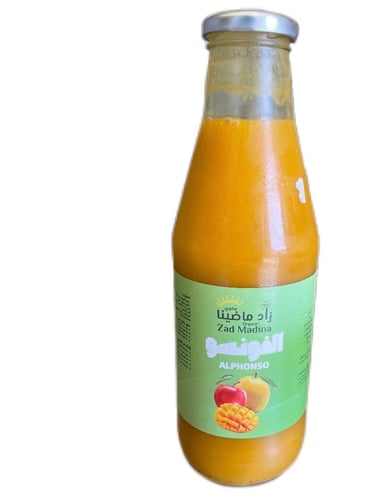 زاد ماضينا-الفونسو