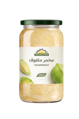 ارض الطبيعة-مخمر ملفوف