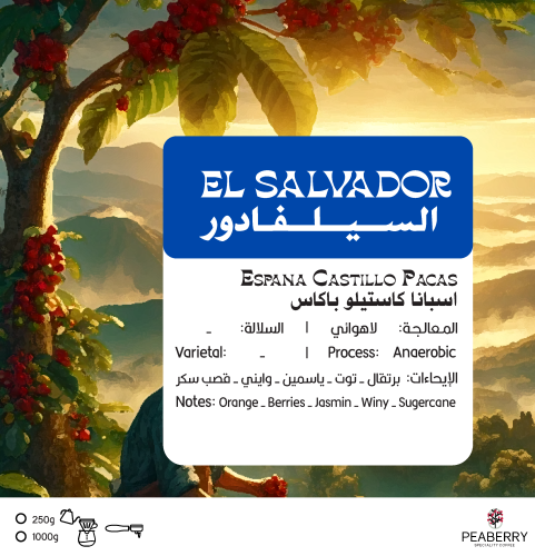 Roasted Beans El Salvador Espana Castillo Pacas An...