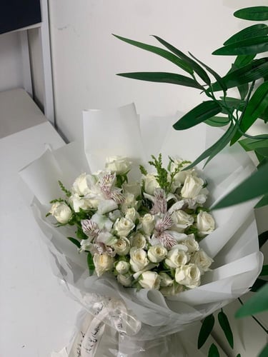 بوكية نقاء الروح