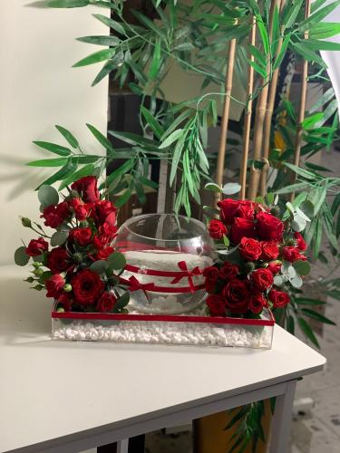 فازه سمك نار وشرار ️‍️️