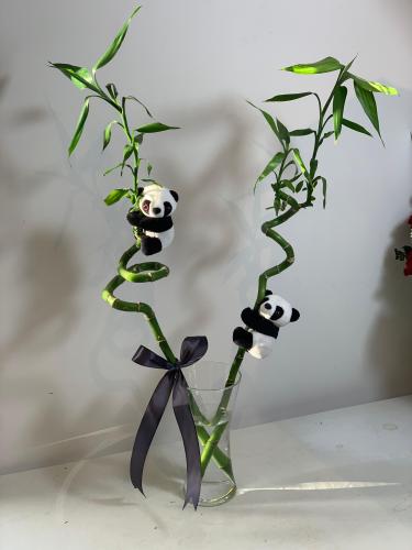 فازه الـ بامبو مع دب الـPanda