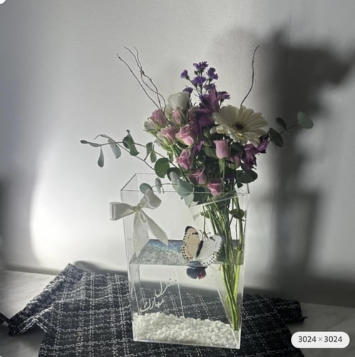 بوكس السمكة الانيق