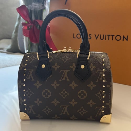 شنطة لويس ڤيتون