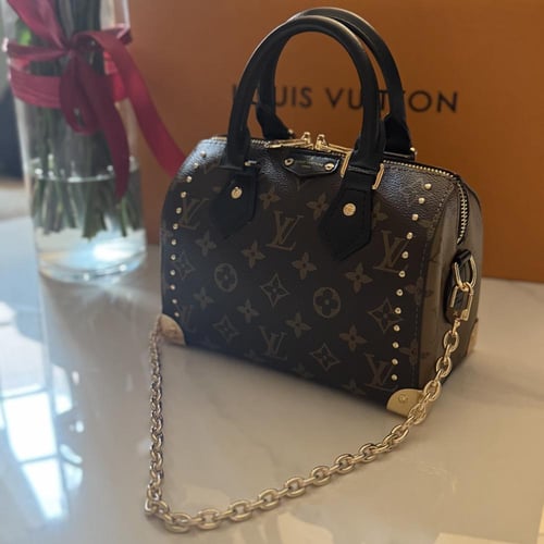 شنطة لويس ڤيتون