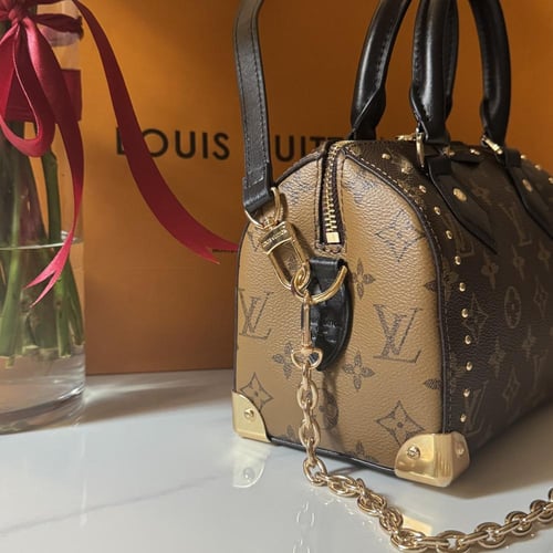 شنطة لويس ڤيتون