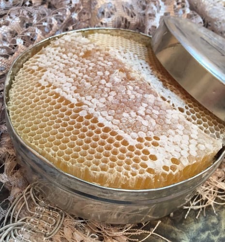 خلية نحل سدر حضرمي - 1 كجم