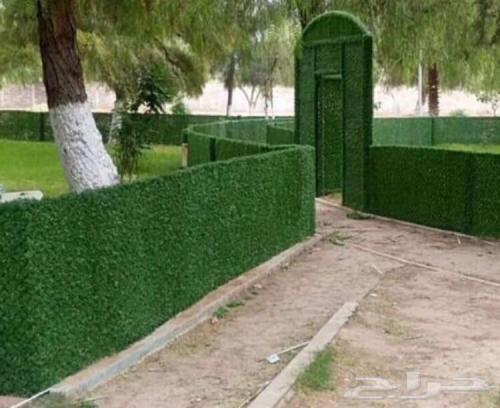 السياج الأخضر Green Fence -ديكور جمالي للمنزل والحديقة