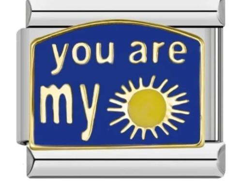 تشارمز فضي-انت شمسي