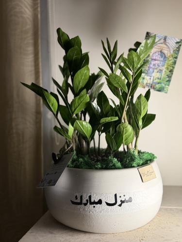 حوض نباتي فاخر زاميا