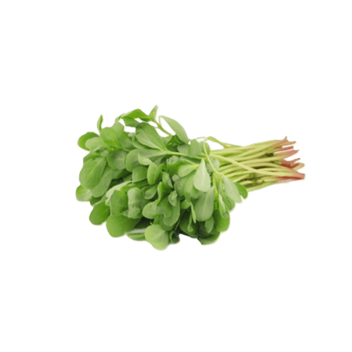 ورقيات طازجة منوعة