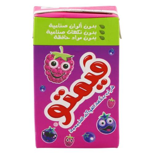 فيمتو شراب نكهة الفواكه -250 جم -