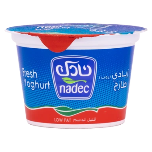 زبادي نادك 170 جم قليل الدسم