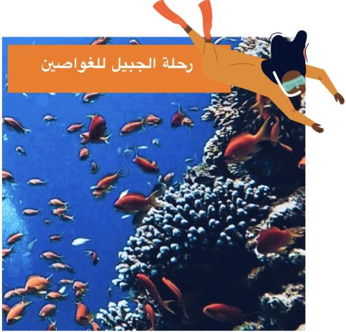 رحلة الجبيل للغواصين