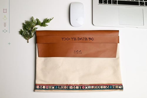 لابتوب باوتش