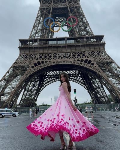 توفر الانيق كلفة ورود