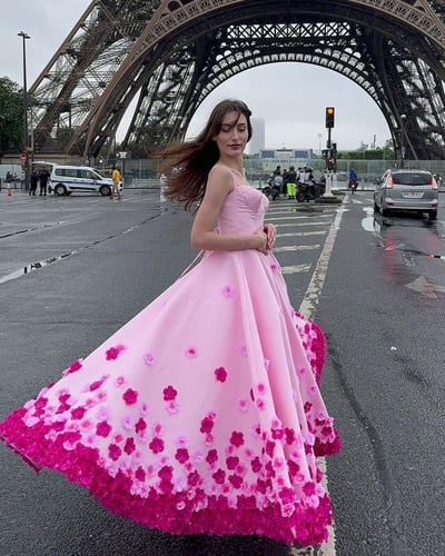 توفر الانيق كلفة ورود