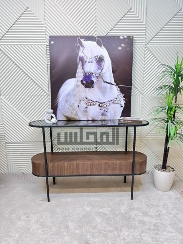 مدخل سطح زجاج مع خشب جوز الهند الفاخر