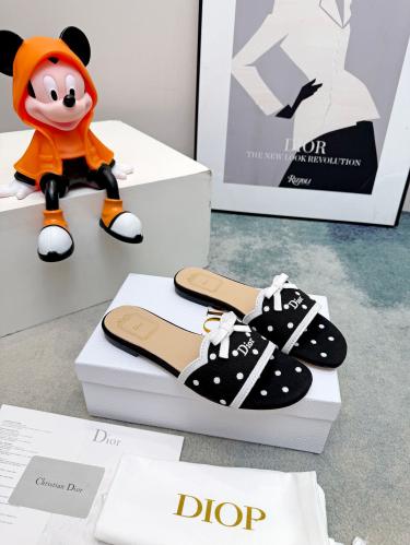 DIOR SLIDES