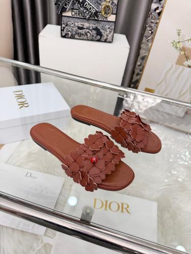 DIOR SLIDES