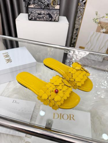 DIOR SLIDES