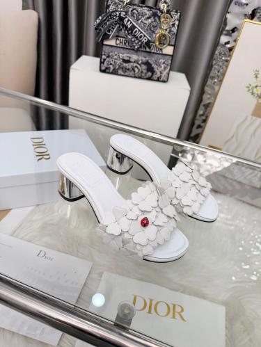 DIOR SLIDES