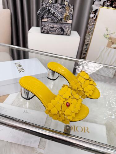 DIOR SLIDES