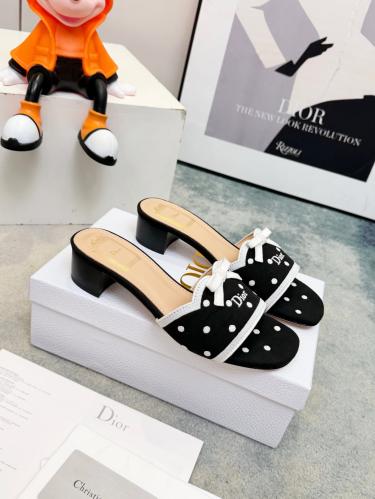 DIOR SLIDES