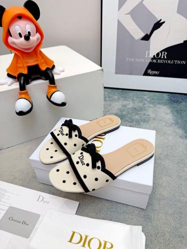 DIOR SLIDES