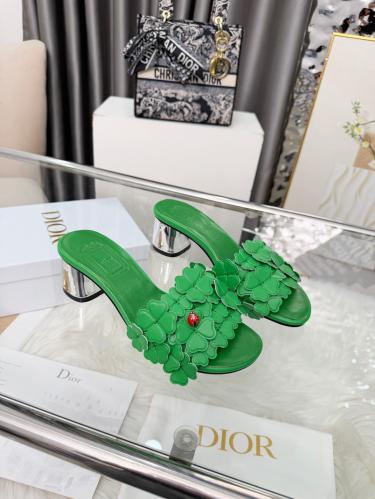 DIOR SLIDES
