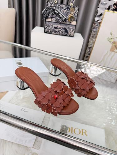 DIOR SLIDES