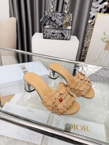 DIOR SLIDES
