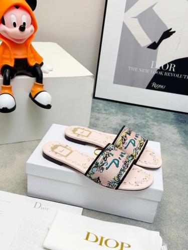 DIOR SLIDES