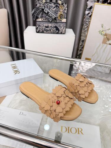 DIOR SLIDES
