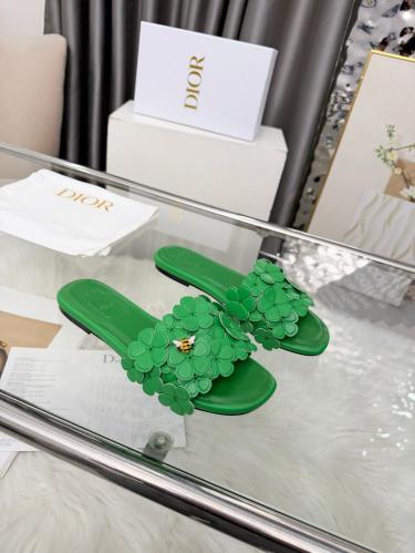 DIOR SLIDES