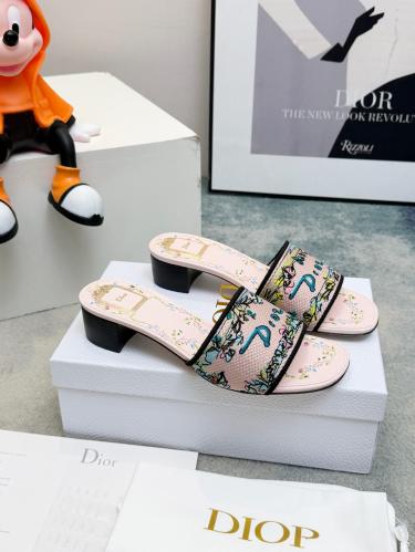 DIOR SLIDES