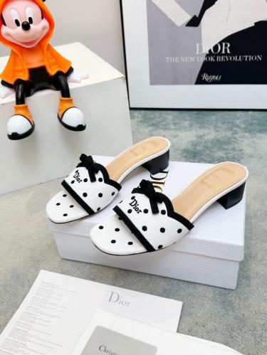DIOR SLIDES
