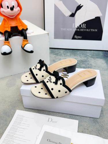 DIOR SLIDES