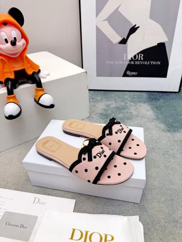 DIOR SLIDES